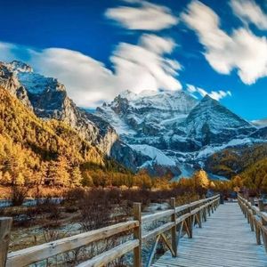 蒙古姑娘二免费播放
