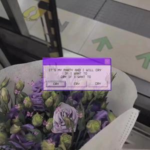 蒙古姑娘二免费播放
